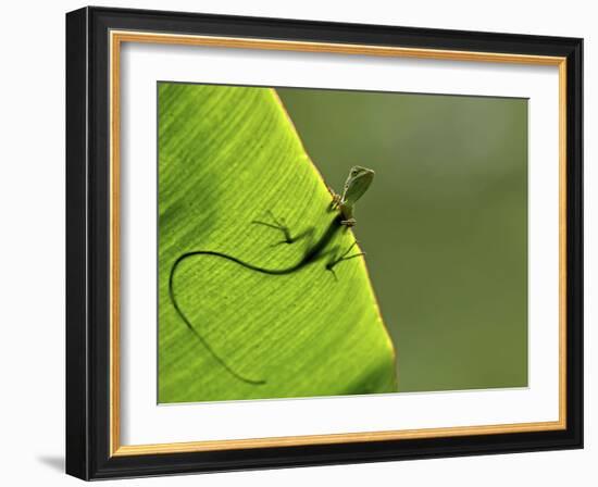 Hallo-Yoline Santosa-Framed Photographic Print