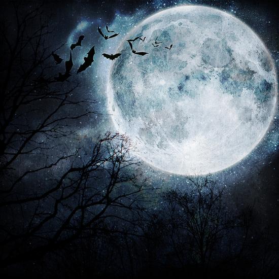 Halloween Background Bats Flying In The Night With A Full Moon In The Background Photographic Print Molodec Art Com