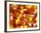 Halloween Candy Corn-Mitch Diamond-Framed Photographic Print