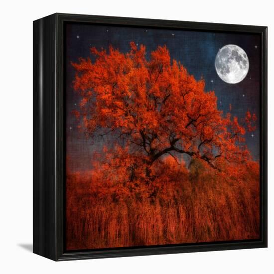 Halloween Color-Philippe Sainte-Laudy-Framed Premier Image Canvas