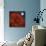 Halloween Color-Philippe Sainte-Laudy-Mounted Premium Photographic Print displayed on a wall