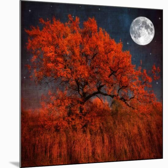 Halloween Color-Philippe Sainte-Laudy-Mounted Premium Photographic Print