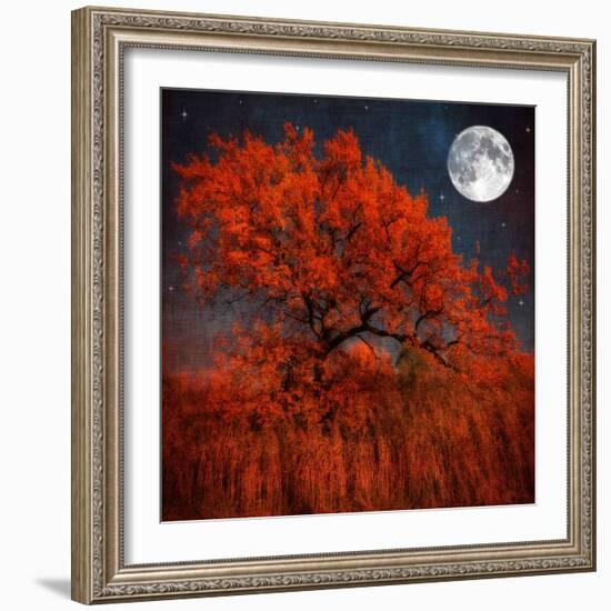 Halloween Color-Philippe Sainte-Laudy-Framed Photographic Print