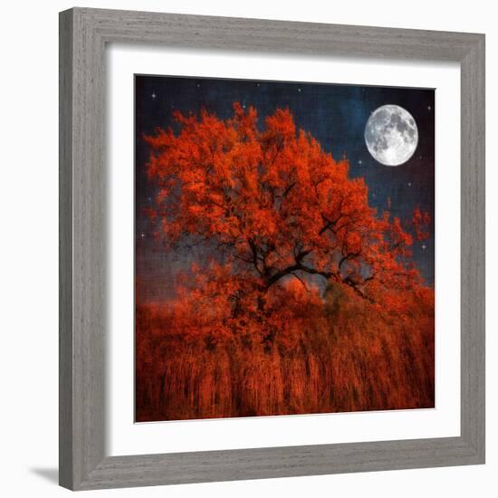 Halloween Color-Philippe Sainte-Laudy-Framed Photographic Print