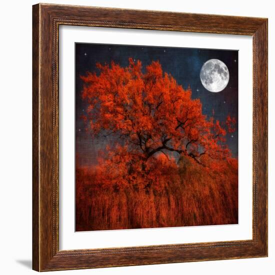 Halloween Color-Philippe Sainte-Laudy-Framed Photographic Print