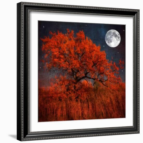 Halloween Color-Philippe Sainte-Laudy-Framed Photographic Print
