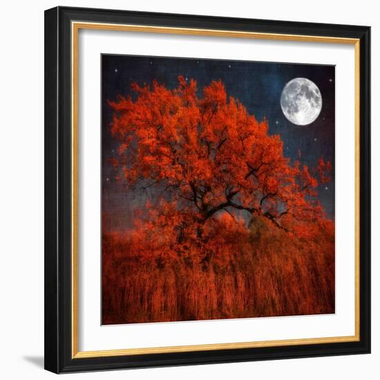 Halloween Color-Philippe Sainte-Laudy-Framed Photographic Print