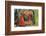 Halloween Mirror-null-Framed Premium Giclee Print