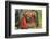 Halloween Mirror-null-Framed Premium Giclee Print