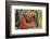 Halloween Mirror-null-Framed Art Print