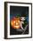 Halloween Night-Jasmine Becket-Griffith-Framed Art Print