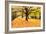 Halloween Outdoor Scenic-George Oze-Framed Photographic Print