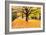 Halloween Outdoor Scenic-George Oze-Framed Photographic Print