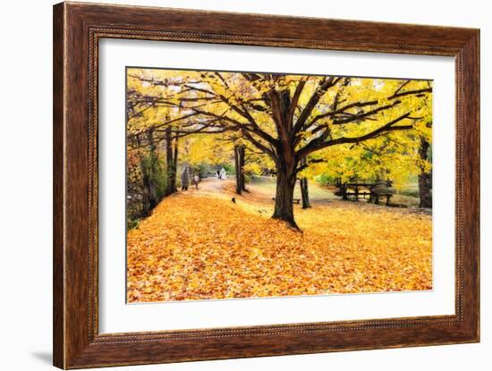 Halloween Outdoor Scenic-George Oze-Framed Photographic Print