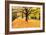 Halloween Outdoor Scenic-George Oze-Framed Photographic Print