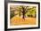 Halloween Outdoor Scenic-George Oze-Framed Photographic Print