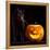 Halloween Pumpkin and Black Cat Scary Spooky and Creepy Horror Holiday Superstition Evil Animal And-kikkerdirk-Framed Premier Image Canvas