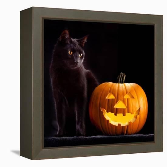 Halloween Pumpkin and Black Cat Scary Spooky and Creepy Horror Holiday Superstition Evil Animal And-kikkerdirk-Framed Premier Image Canvas