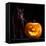 Halloween Pumpkin and Black Cat Scary Spooky and Creepy Horror Holiday Superstition Evil Animal And-kikkerdirk-Framed Premier Image Canvas