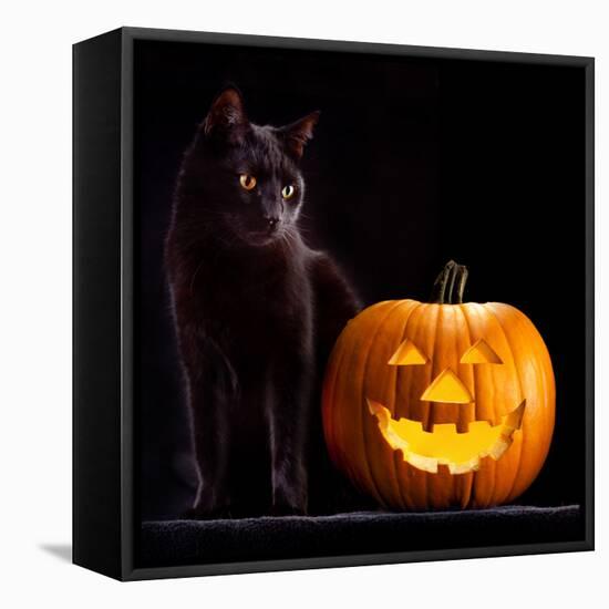 Halloween Pumpkin and Black Cat Scary Spooky and Creepy Horror Holiday Superstition Evil Animal And-kikkerdirk-Framed Premier Image Canvas