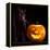 Halloween Pumpkin and Black Cat Scary Spooky and Creepy Horror Holiday Superstition Evil Animal And-kikkerdirk-Framed Premier Image Canvas