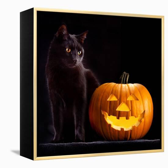 Halloween Pumpkin and Black Cat Scary Spooky and Creepy Horror Holiday Superstition Evil Animal And-kikkerdirk-Framed Premier Image Canvas