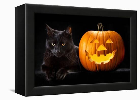 Halloween Pumpkin and Black Cat Scary Spooky and Creepy Horror Holiday Superstition Evil Animal And-kikkerdirk-Framed Premier Image Canvas