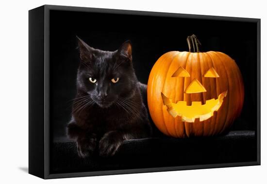 Halloween Pumpkin and Black Cat Scary Spooky and Creepy Horror Holiday Superstition Evil Animal And-kikkerdirk-Framed Premier Image Canvas