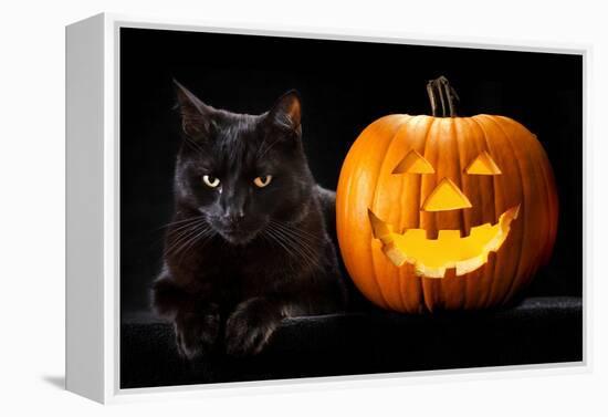 Halloween Pumpkin and Black Cat Scary Spooky and Creepy Horror Holiday Superstition Evil Animal And-kikkerdirk-Framed Premier Image Canvas