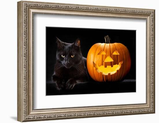 Halloween Pumpkin and Black Cat Scary Spooky and Creepy Horror Holiday Superstition Evil Animal And-kikkerdirk-Framed Photographic Print