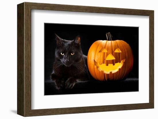 Halloween Pumpkin and Black Cat Scary Spooky and Creepy Horror Holiday Superstition Evil Animal And-kikkerdirk-Framed Photographic Print