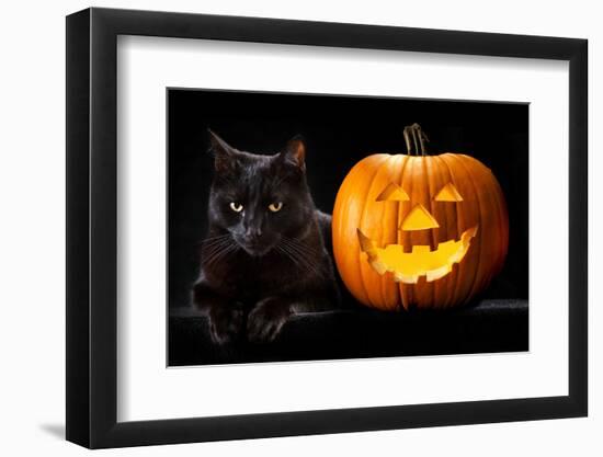 Halloween Pumpkin and Black Cat Scary Spooky and Creepy Horror Holiday Superstition Evil Animal And-kikkerdirk-Framed Photographic Print