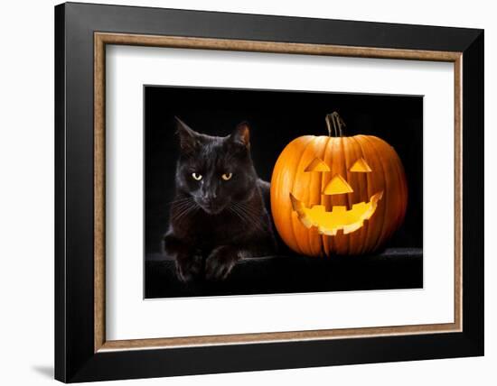 Halloween Pumpkin and Black Cat Scary Spooky and Creepy Horror Holiday Superstition Evil Animal And-kikkerdirk-Framed Photographic Print