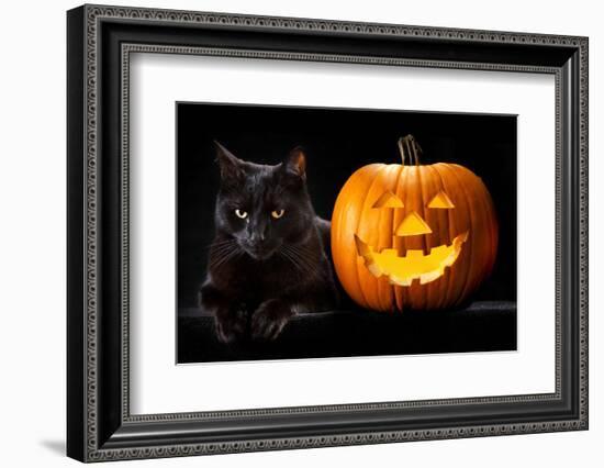 Halloween Pumpkin and Black Cat Scary Spooky and Creepy Horror Holiday Superstition Evil Animal And-kikkerdirk-Framed Photographic Print