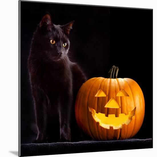 Halloween Pumpkin and Black Cat Scary Spooky and Creepy Horror Holiday Superstition Evil Animal And-kikkerdirk-Mounted Photographic Print