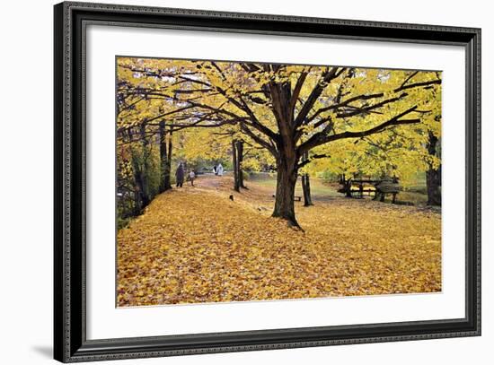 Halloween Scenic, New Jersey-George Oze-Framed Photographic Print