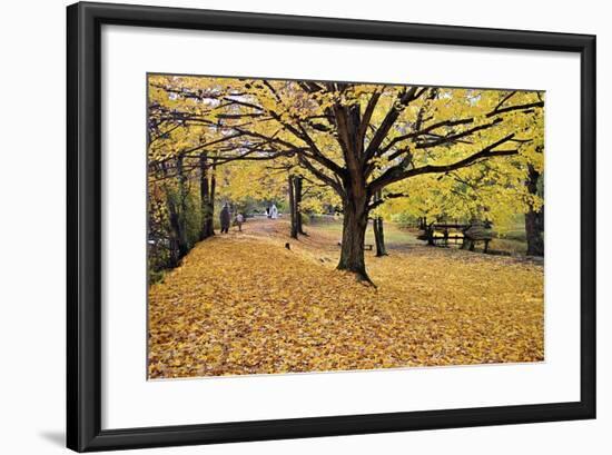 Halloween Scenic, New Jersey-George Oze-Framed Photographic Print