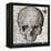 Halloween Skull-Color Bakery-Framed Premier Image Canvas