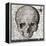 Halloween Skull-Color Bakery-Framed Premier Image Canvas