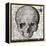 Halloween Skull-Color Bakery-Framed Premier Image Canvas