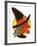 Halloween Witch-null-Framed Art Print