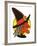 Halloween Witch-null-Framed Art Print