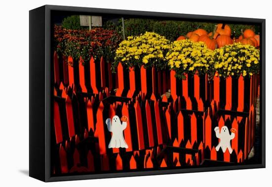 Halloween-Anthony Butera-Framed Premier Image Canvas