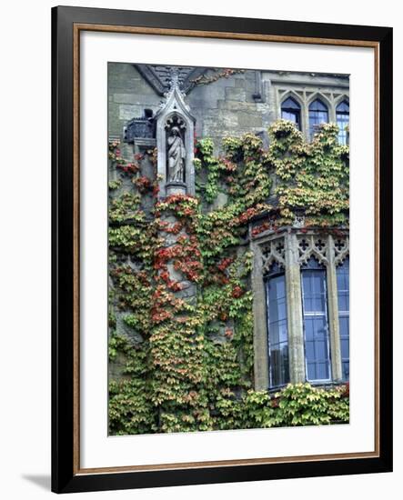 Halls of Ivy, Oxford University, England-Bill Bachmann-Framed Photographic Print