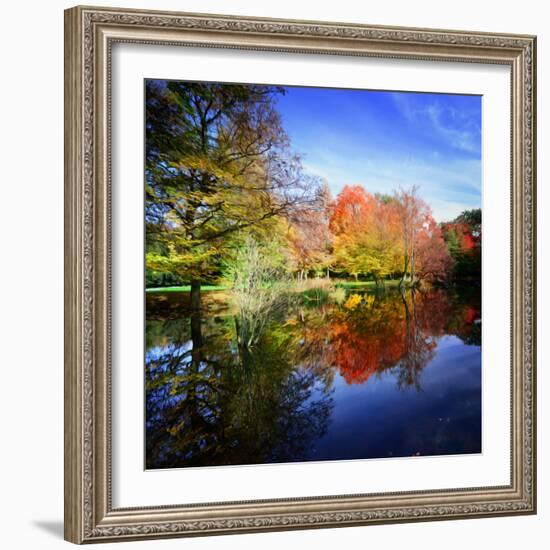 Hallucination Fall-Philippe Sainte-Laudy-Framed Photographic Print