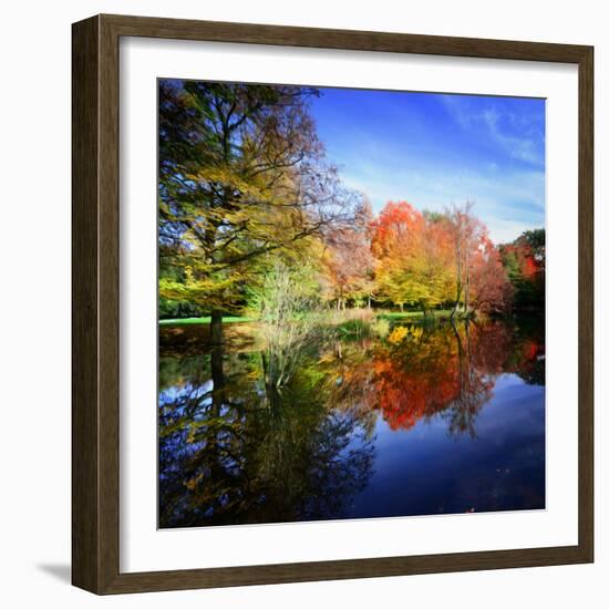 Hallucination Fall-Philippe Sainte-Laudy-Framed Photographic Print