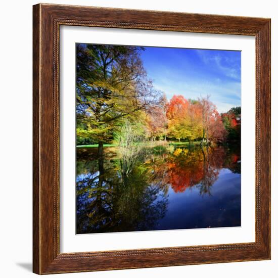 Hallucination Fall-Philippe Sainte-Laudy-Framed Photographic Print