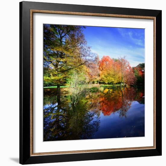 Hallucination Fall-Philippe Sainte-Laudy-Framed Photographic Print