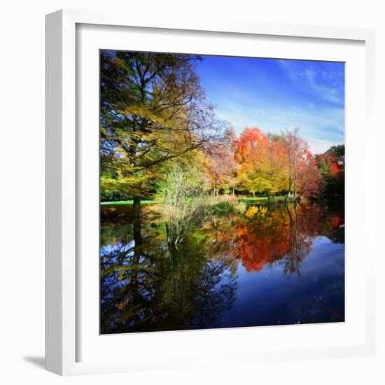 Hallucination Fall-Philippe Sainte-Laudy-Framed Photographic Print