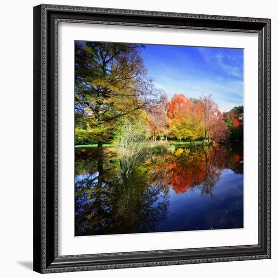 Hallucination Fall-Philippe Sainte-Laudy-Framed Photographic Print